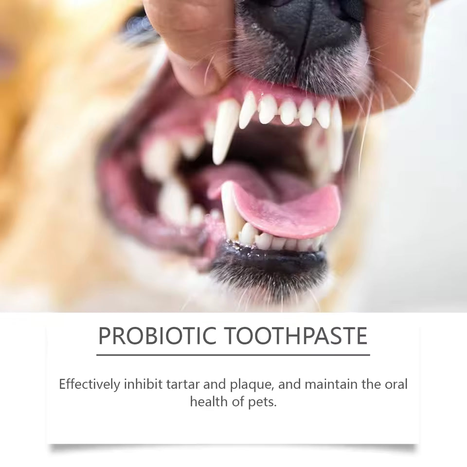 Pet Toothpaste – Fights Plaque & Stains Fast